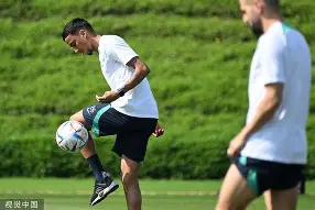 法甲尼斯走了谁